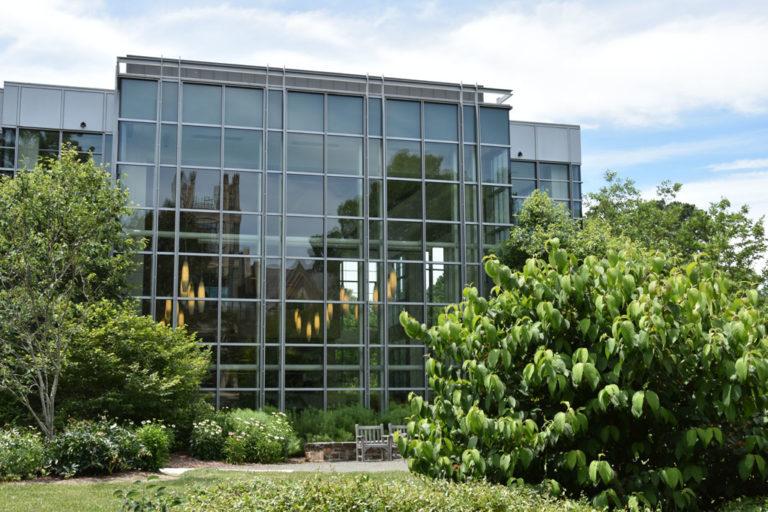 Star Commons, Duke University School of Law
