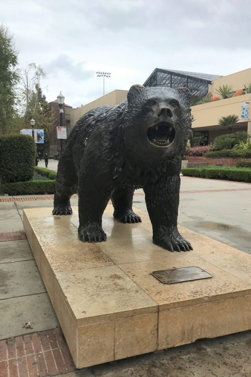 08-js-ucla-grizzly Nicht nur Nationaltier von Kalifornien, sondern auch Maskottchen der UCLA – der Grizzlybär