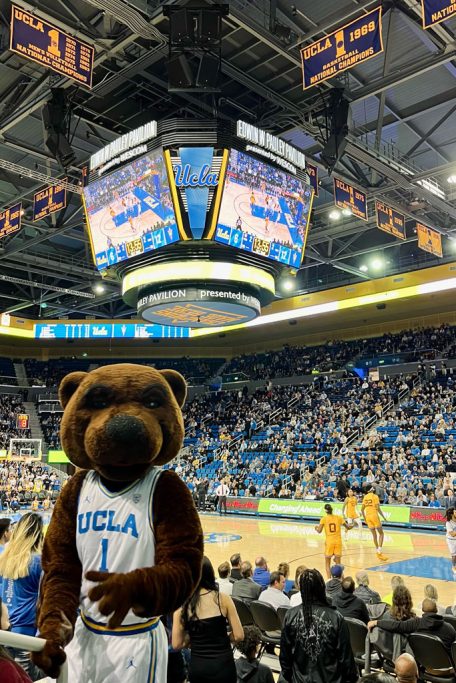wf-ucla-basketball-bruins Basketball Game an der UCLA. Go Bruins!