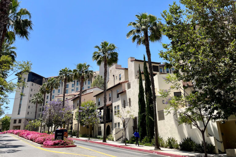 Campus Housing in Westwood